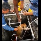 Hecho. El suceso fue compartido en redes sociales.