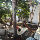 Operativo de Bienestar Animal en Los Ceibos.