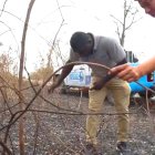 La situación fue informada por la Prefectura a través de redes sociales.