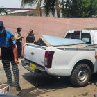 Instante en el que las aves fueron rescatadas por el Cabildo para ser revisadas y devueltas a su hábitad, tras su recuperación.