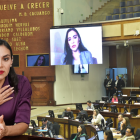 Verónica Abad habló con la Asamblea Nacional de forma telemática.