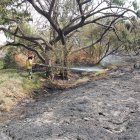 Espacios calcinados en la zona.