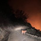 La Secretaría de Gestión de Riesgos reporta este 17 de noviembre 20 incendios forestales activos.