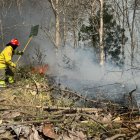En lo que va de noviembre de 2024 se han registrado 144 incendios forestales.