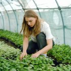 EcoCiencia desarrolla nuevas metodología, crea herramientas y sistematiza experiencias