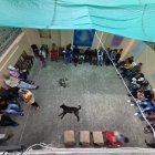 Los 38 internos, entre hombres, mujeres y adultos mayores, compartían un mismo espacio.