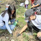 con palas, rastrillos y azadones cientos de personas se congregaron en las zonas afectadas por los incendios para sembrar árboles