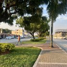 Árboles. El parterre goza de grandes árboles y de césped, poco arbusto. Al final de esta zona está el Área Nacional de Recreación Los Samanes o también conocido como Parque Samanes.
