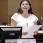 Sofía Espín envió una solicitud a Pamela Aguirre para iniciar la fiscalización de los supuestos chats de Fernando Villavicencio.