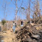 Habitantes y miembros de colectivos retiraron las cenizas y limpiaron las áreas afectadas por el incendio.