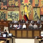 El Pleno de la Asamblea tratará leyes del Ejecutivo este 27 de noviembre.