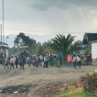 Las presencia permanente de gente no les permite trabajar libremente en las haciendas brcoleras.