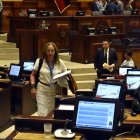 Ponente. Pierina Correa, presidenta de la Comisión de Protección Integral a Niñas, Niños y Adolescentes, cuestionó la poca importancia que le han dado a la normativa.