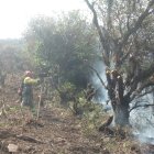 Los incendios se mantuvieron durante días en el Parque Nacional El Cajas.