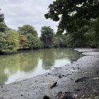 La contaminación de los cuerpos de agua del país es un tema que preocupa a la academia; sin embargo, en los planes de trabajo de los presidenciables escasean las soluciones.
