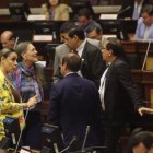 El 9 de febrero de 2025, los ciudadanos deberán escoger, en las urnas, nueve asambleístas nacionales, 130 provinciales y seis del extranjero.