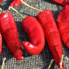 El ají se lo puede combinar con diferentes platos, bebidas y hasta en postres.