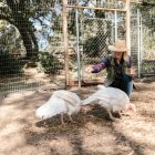 El consumo de pavo aumenta en las fiestas de Navidad y fin de año