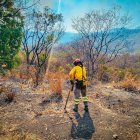 El incendio ha generado que decenas de bomberos se movilicen hasta el sitio.