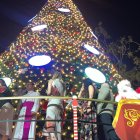 El árbol navideño del Malecón 2000 se encendió pasadas las 19:00 de este martes 3 de diciembre.