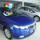 En el caso de los vehículos livianos, el total de ventas registradas en noviembre alcanzó las 7.310 unidades.