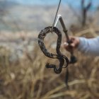 Imagen de los esqueletos hallados en las zonas más críticas y devastadas en Cerro Azul.