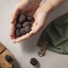 Las trufas son un manjar raro y codiciado