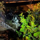 El vehículo cayó debajo de un puente en vía a la Costa.