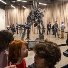 Niños y adultos observan el Apex