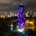 Este ciprés de 30 metros de altura y más de 35 años de vida, se ilumina con los colores de la Navidad y se encuentra en el Jardín Botánico