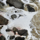 Activistas defendieron los derechos del río Machángara, que tiene un estado de contaminación grave.