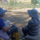 AMBATO. EN LA ZONA NORTE LES PREOCUPA LOS MALOS OLORES QUE EMANE EL RELLENO SANITARIO DE LA CIUDAD. AG-EXTERNO