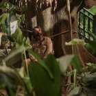 El actor colombiano Diego Vásquez en su interpretación de José Arcadio Buendía.