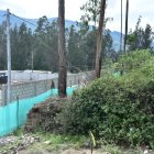 El predio fue entregado como dación de pago al Estado y fue considerado por el Municipio como un bosque protector.