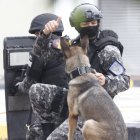 La Policía Nacional junto a un can antiexplosivos antes de inspeccionar que contenían los paquetes.