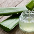 Descubre el poder del aloe vera para tu bienestar digestivo.