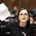 Viviana Veloz anunció que la demanda se presentará la próxima semana.