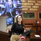 Presidenta. Viviana Veloz confunde lo constitucional con lo electoral. Ella prefiere hablar de impuestos.