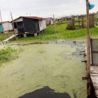 Temporada. Durante el invierno, la movilidad se ve reducida.