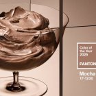 El Mocha Mousse es el color de 2025.