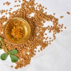 La planta secreta que reduce el colesterol y mejora la salud masculina.