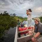 La organización ambiental más efectivas y de mayor alcance global