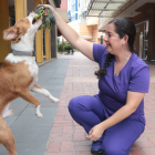 Eliana Molineros deja la Dirección de Bienestar Animal.