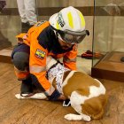 Los bomberos demostraron técnicas para apaciguar a los amigos de cuatro patas.