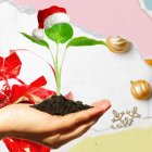 El 89 % de los residuos del país es aprovechable, pero solo el 4 % se recicla.