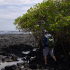El biólogo español Nicolás Moity durante una inspección de manglares en las costas de las Islas Galápagos.