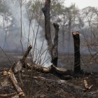 La emergencia en la Narcisa de Jesús logró ser controlada.