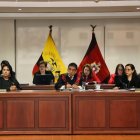 José Suing, presidente de la Corte Nacional de Justicia, dirige el pleno convocado este viernes a las 20 de diciembre de 2024.