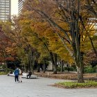 Una pausada melodía resuena religiosamente cada día a las cinco de la tarde en todos los rincones Japón.