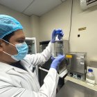 Los técnicos realizan estudios de las muestras de agua